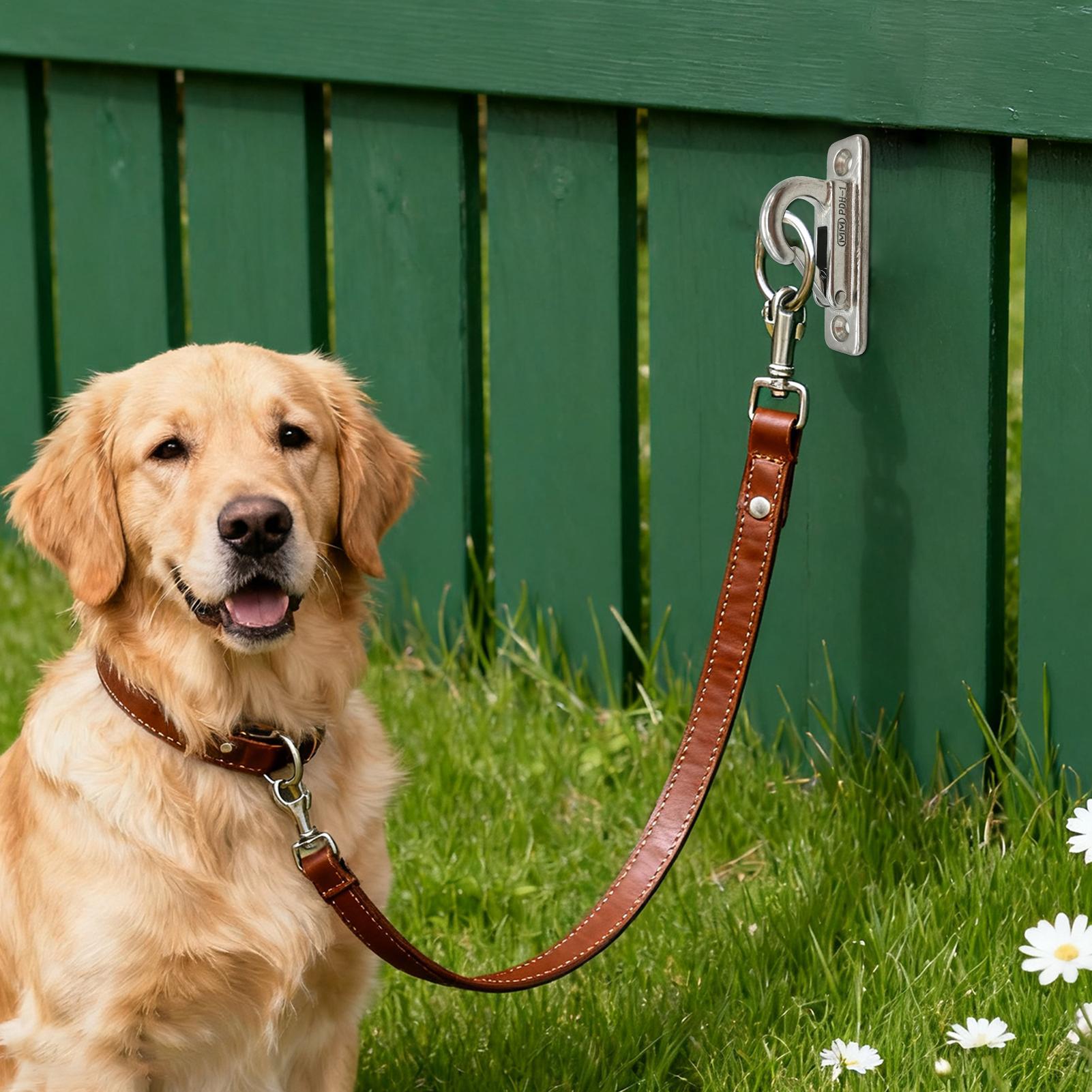 Dog Leashes Holder for Wall Pe - огляд і ціна Security Chain Door