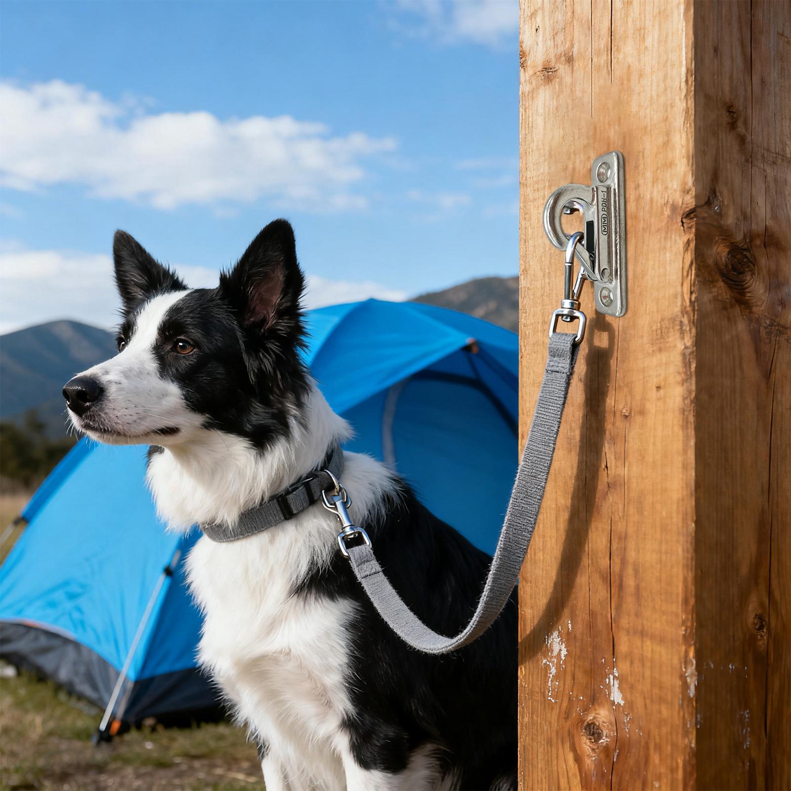 Dog Leashes Holder for Wall Pe - огляд і ціна Security Chain Door
