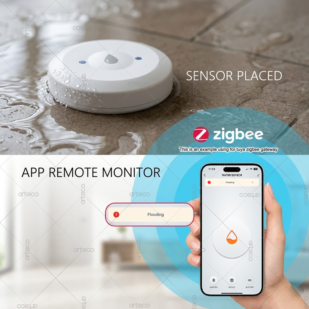 Zigbee Water Leak Sensor Smart - огляд і ціна Water Alarm Sensor