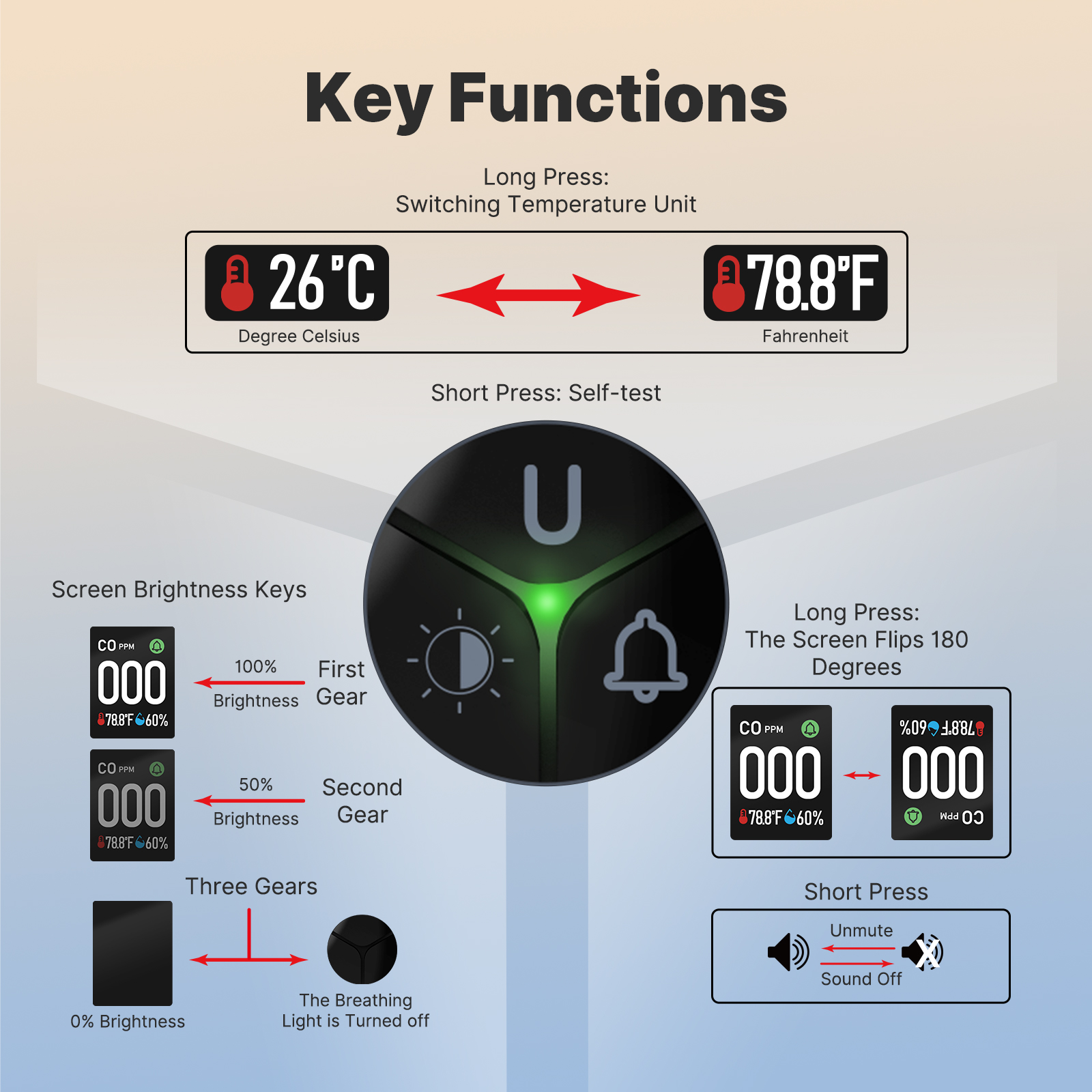 Carbon Monoxide Detector: 3-in - огляд і ціна Co Detector Plug